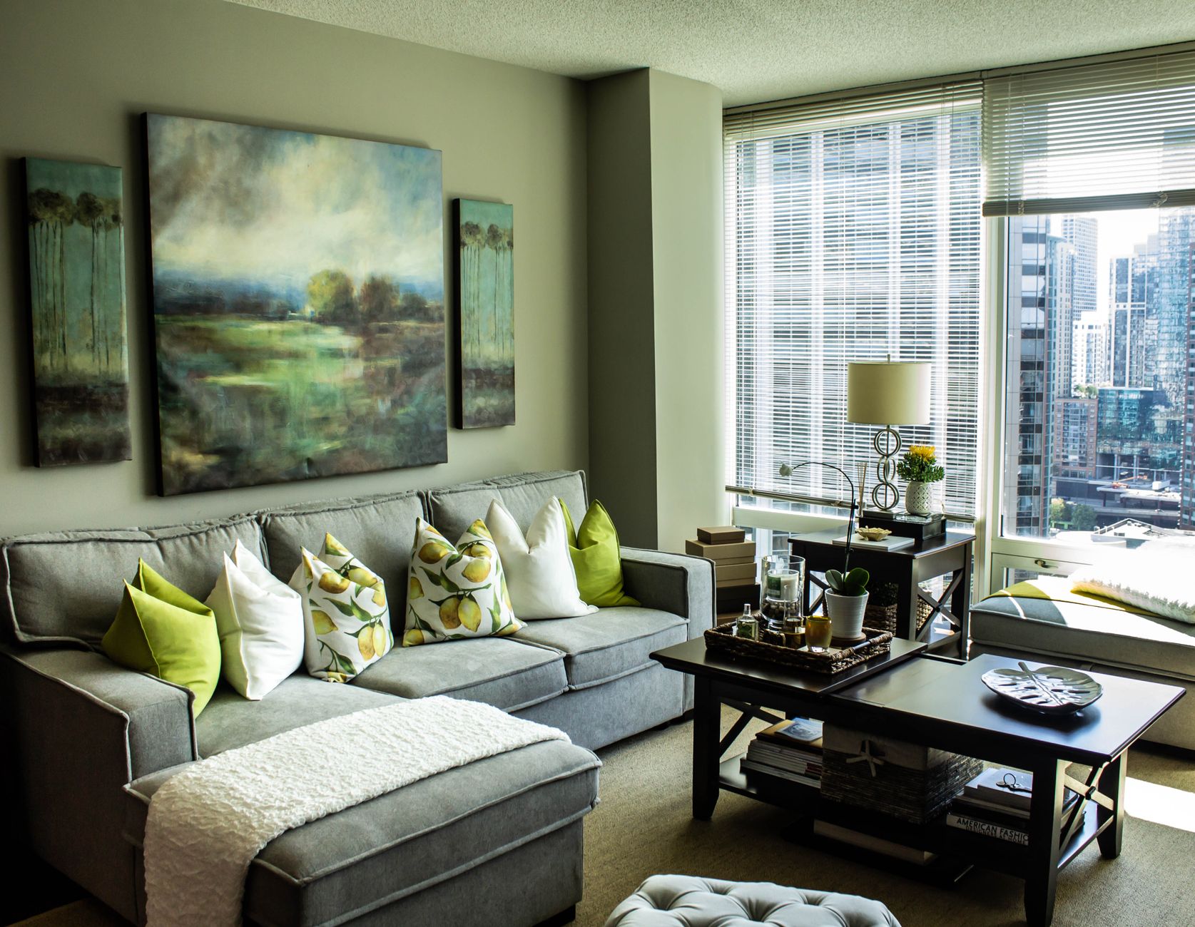 How Often Should Chicago Homes Have Their Windows Cleaned?